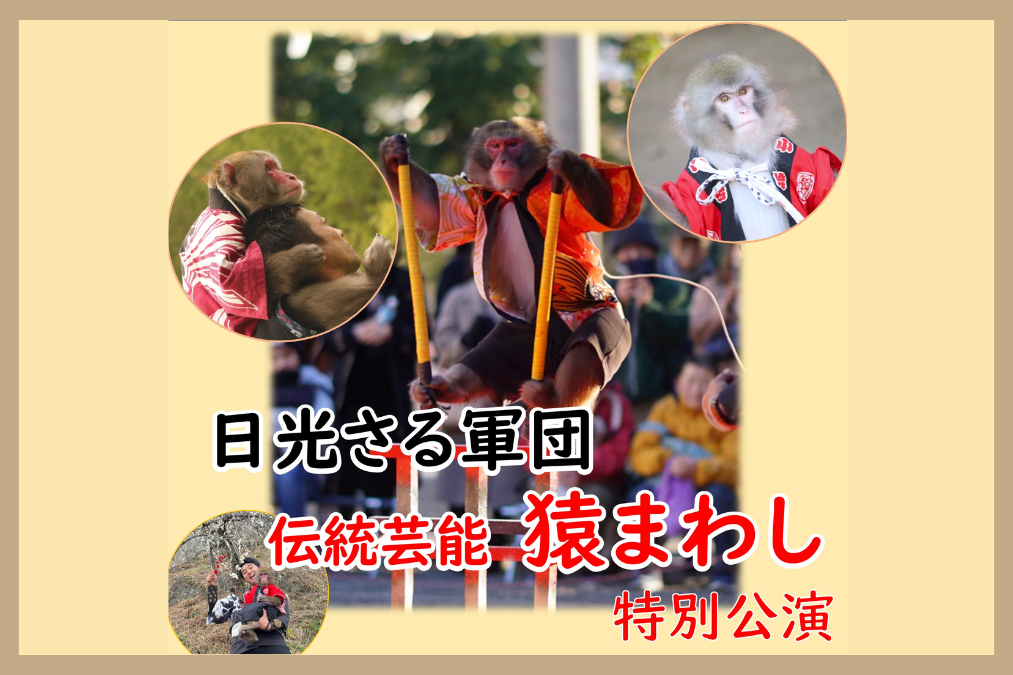 日光さる軍団 伝統芸能 猿まわし 特別公演 | DEKKY401